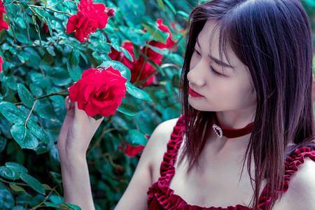 李树涛任长安大学校长